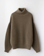 Load image into Gallery viewer, Gross turtleneck knit
